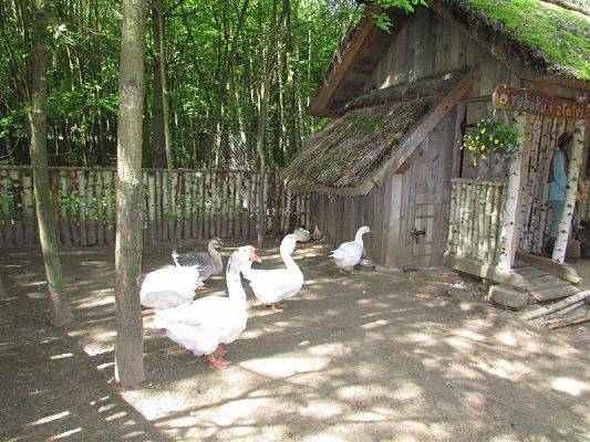 Grafika #19: 30.05.2019 Wycieczka do Doliny Charlotty cz.I