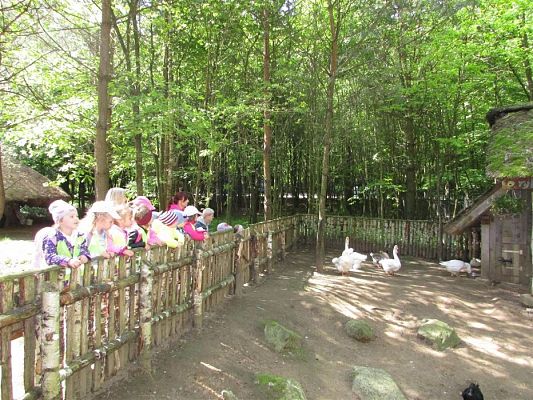 Grafika #20: 30.05.2019 Wycieczka do Doliny Charlotty cz.I