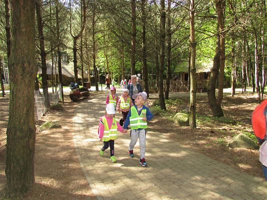 Grafika #22: 30.05.2019 Wycieczka do Doliny Charlotty cz.I