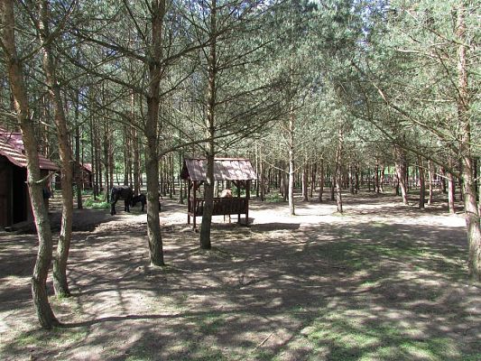 Grafika #26: 30.05.2019 Wycieczka do Doliny Charlotty cz.I