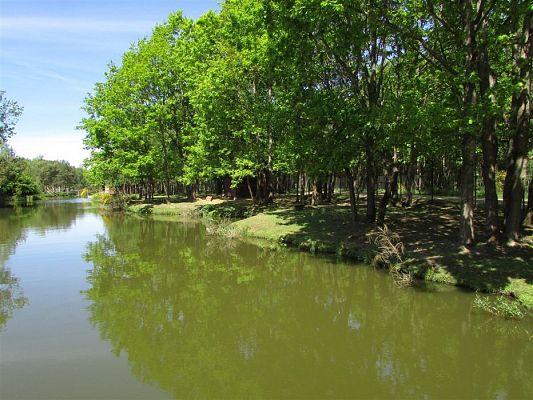 Grafika #74: 30.05.2019 Wycieczka do Doliny Charlotty cz.I