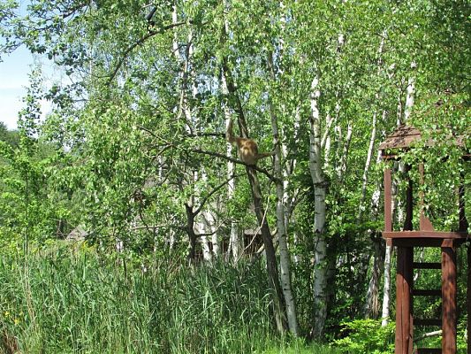 Grafika #84: 30.05.2019 Wycieczka do Doliny Charlotty cz.I