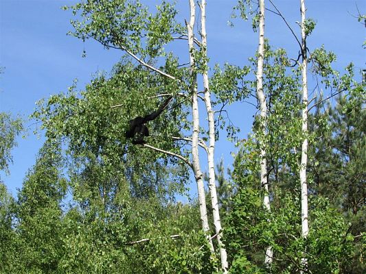 Grafika #85: 30.05.2019 Wycieczka do Doliny Charlotty cz.I