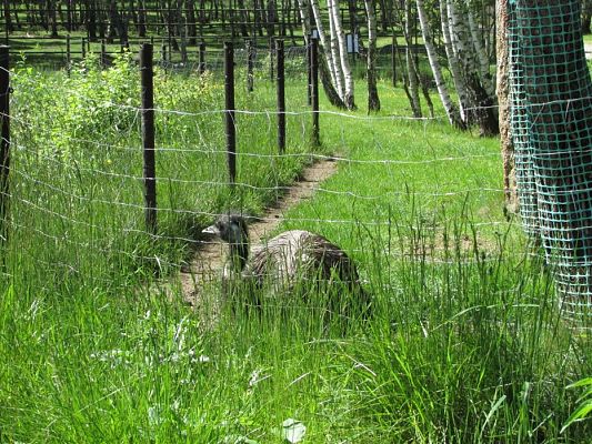 Grafika #87: 30.05.2019 Wycieczka do Doliny Charlotty cz.I