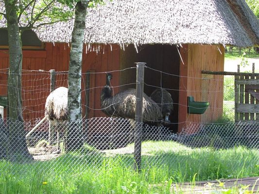 Grafika #89: 30.05.2019 Wycieczka do Doliny Charlotty cz.I