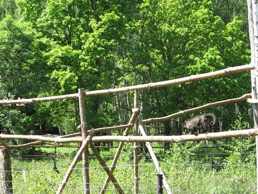 Grafika #92: 30.05.2019 Wycieczka do Doliny Charlotty cz.I