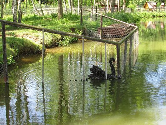 Grafika #93: 30.05.2019 Wycieczka do Doliny Charlotty cz.I