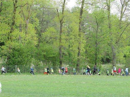 Grafika #25: 13.05.2019 "Wiosenny Bieg Krasnala"-Grand Prix Gminy Wicko