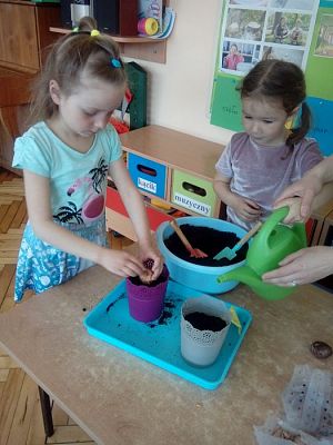 Grafika #4: 25.04.2019 Wzbogacamy nasz kącik przyrody - gr I