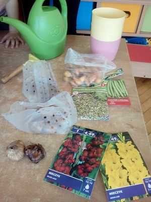 Grafika #6: 25.04.2019 Wzbogacamy nasz kącik przyrody - gr I