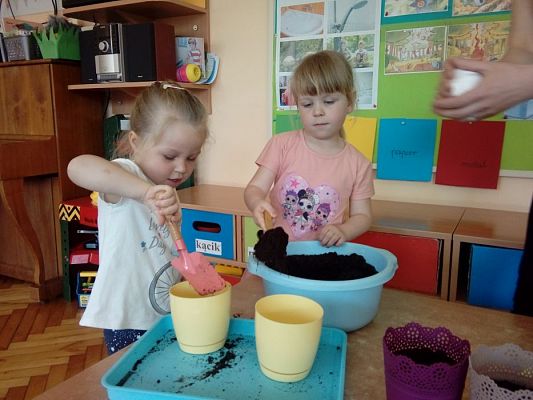 Grafika #7: 25.04.2019 Wzbogacamy nasz kącik przyrody - gr I