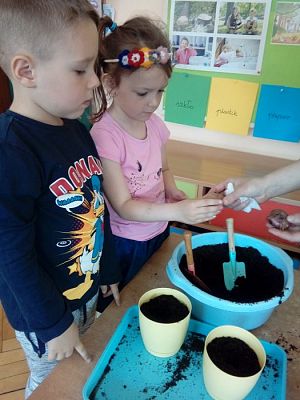 Grafika #9: 25.04.2019 Wzbogacamy nasz kącik przyrody - gr I