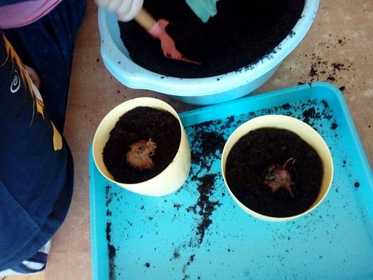 Grafika #10: 25.04.2019 Wzbogacamy nasz kącik przyrody - gr I