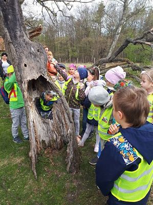 Grafika #28: 25.04.2019 Światowy Dzień Ziemi - zabawy i gry terenowe