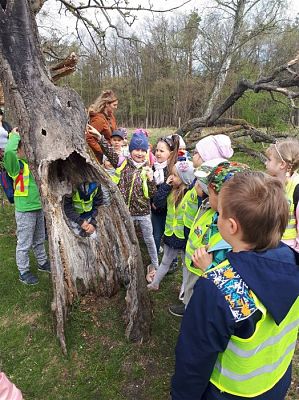 Grafika #32: 25.04.2019 Światowy Dzień Ziemi - zabawy i gry terenowe
