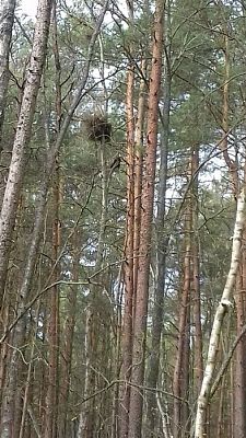 Grafika #0: 24.04.2019 Spacer w Słowińskim Parku Narodowym - gr I