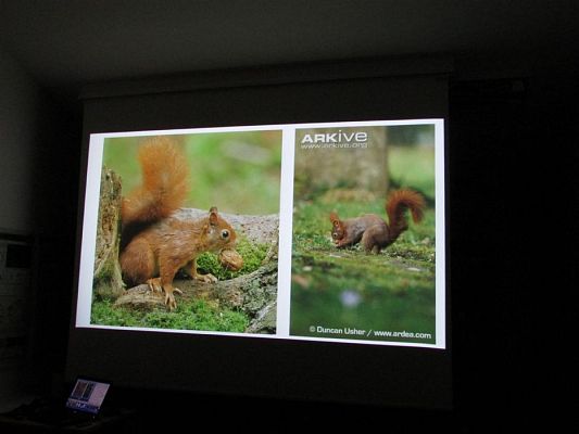 Grafika #23: 24.04.2019 Wycieczka do Łeby