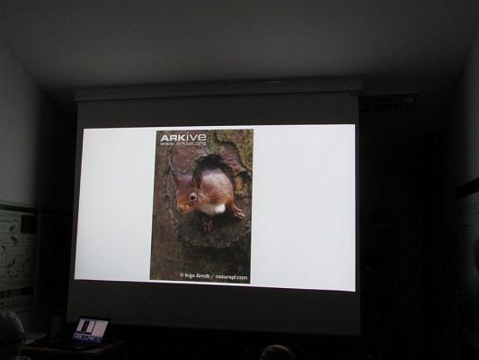 Grafika #31: 24.04.2019 Wycieczka do Łeby