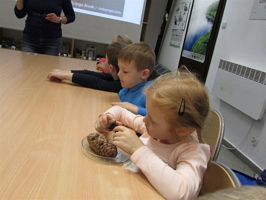 Grafika #37: 24.04.2019 Wycieczka do Łeby