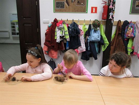 Grafika #41: 24.04.2019 Wycieczka do Łeby