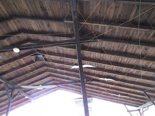 Grafika #44: 24.04.2019 Wycieczka do Łeby