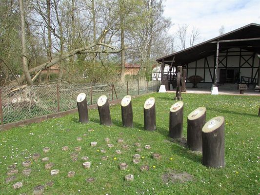 Grafika #55: 24.04.2019 Wycieczka do Łeby