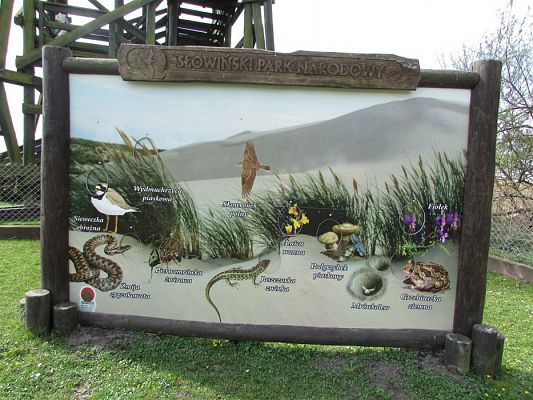 Grafika #61: 24.04.2019 Wycieczka do Łeby