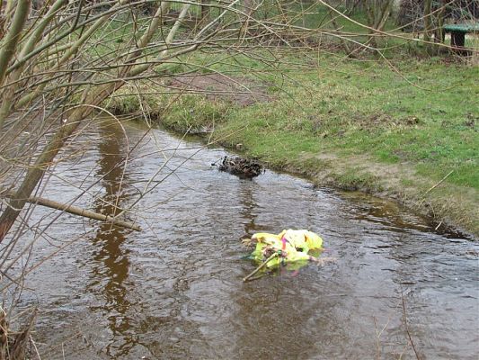 Grafika #20: 21.03.2019 Witamy Wiosnę!