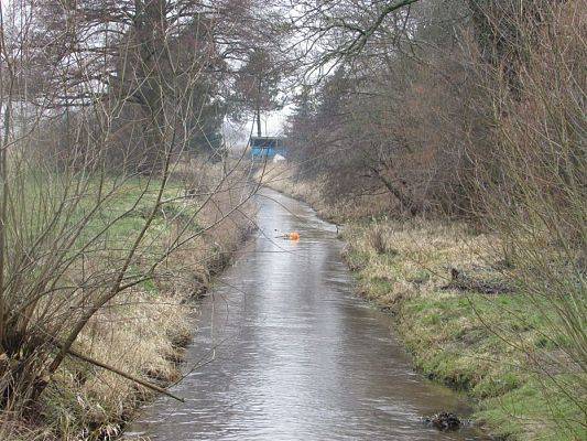 Grafika #22: 21.03.2019 Witamy Wiosnę!