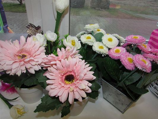 Grafika #5: 08.03.2019 Dzień Kobiet