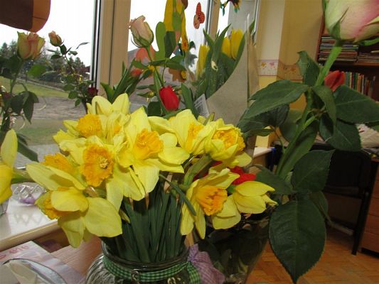 Grafika #6: 08.03.2019 Dzień Kobiet