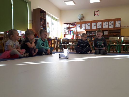 Grafika #1: 22.02.2019 "Robi w przeszkolu" Zabawy z użyciem sprzętu interaktywnego.