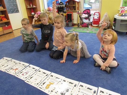 Grafika #2: 15.02.2019 Międzynarodowy Dzień Kota