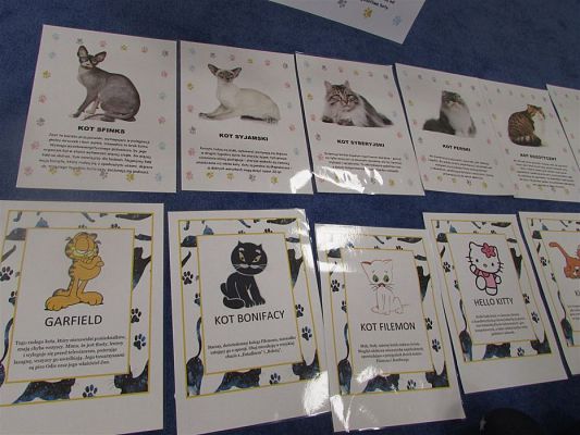 Grafika #3: 15.02.2019 Międzynarodowy Dzień Kota