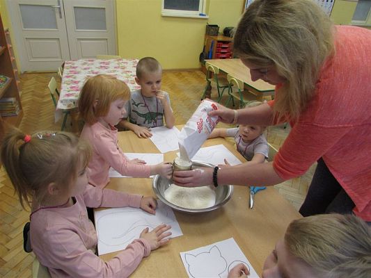 Grafika #17: 15.02.2019 Międzynarodowy Dzień Kota