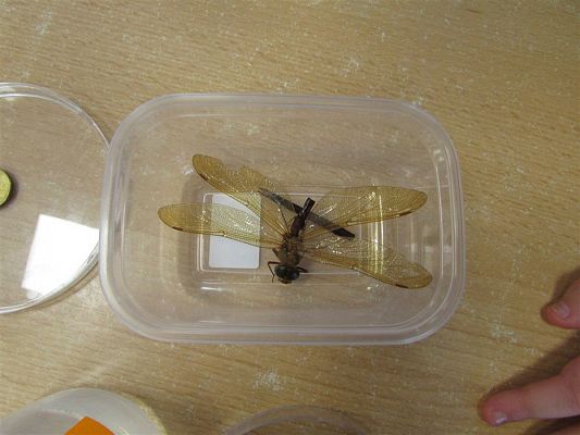 Grafika #25: Fotorelacja z Klubu Małego Odkrywcy