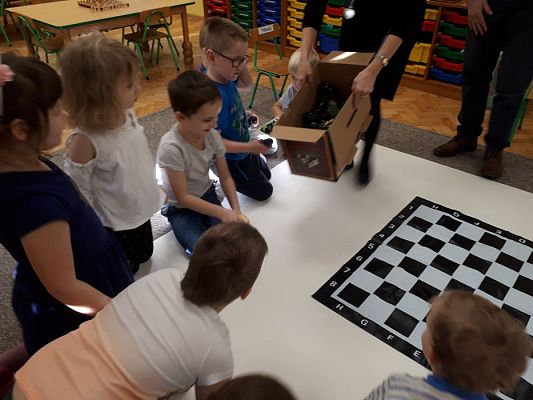 Grafika #5: Gr III Cykl lekcji instruktażowych "Gram w Szachy "z zaproszonym gościem specjalnym : Lekcja nr 1 Szachownica