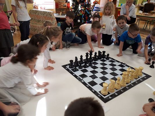 Grafika #31: Gr III Cykl lekcji instruktażowych "Gram w Szachy "z zaproszonym gościem specjalnym : Lekcja nr 1 Szachownica