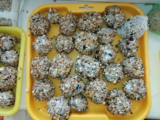 Grafika #7: 14.01.2019r. Zajęcia edukacyjne gr III "Jak dokarmiać zwierzęta zimą"