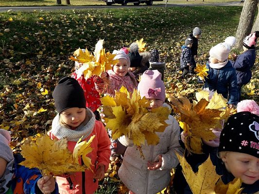 Grafika #0: 05.11.2018 Kolorowe jesienne bukiety - gr I