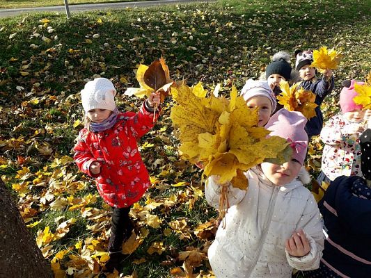 Grafika #1: 05.11.2018 Kolorowe jesienne bukiety - gr I