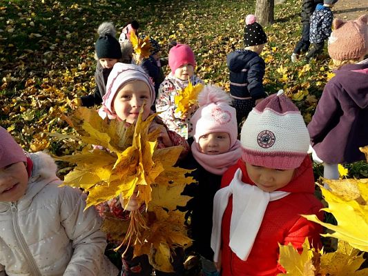 Grafika #2: 05.11.2018 Kolorowe jesienne bukiety - gr I