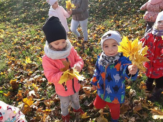 Grafika #4: 05.11.2018 Kolorowe jesienne bukiety - gr I