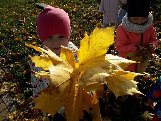 Grafika #5: 05.11.2018 Kolorowe jesienne bukiety - gr I