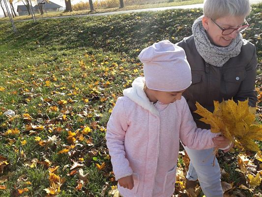 Grafika #6: 05.11.2018 Kolorowe jesienne bukiety - gr I