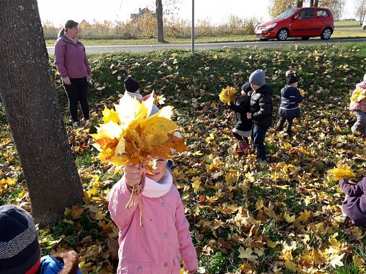 Grafika #7: 05.11.2018 Kolorowe jesienne bukiety - gr I