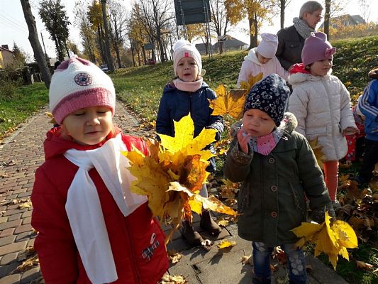 Grafika #8: 05.11.2018 Kolorowe jesienne bukiety - gr I