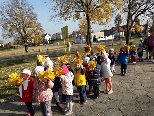 Grafika #11: 05.11.2018 Kolorowe jesienne bukiety - gr I