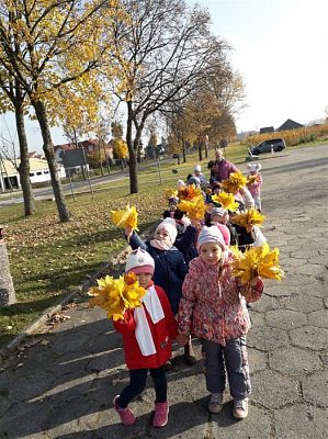 Grafika #12: 05.11.2018 Kolorowe jesienne bukiety - gr I