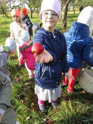 Grafika #6: 08.10.2018 Wycieczka do sadu gr II i III
